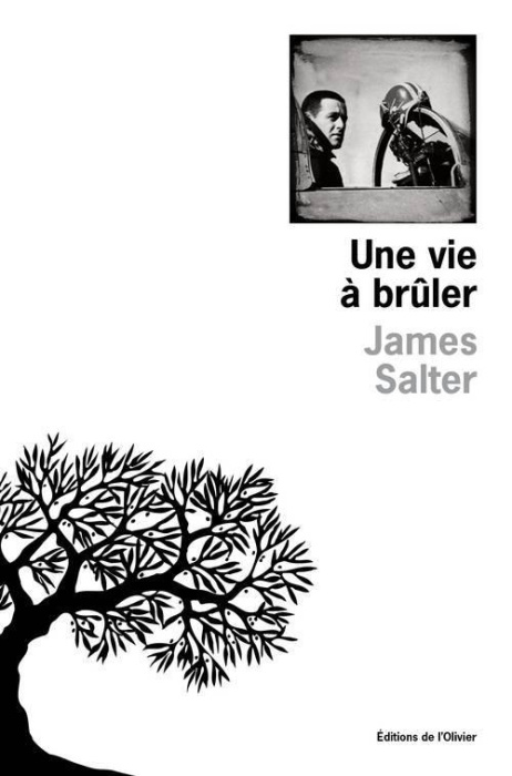 Emprunter Une vie à brûler livre