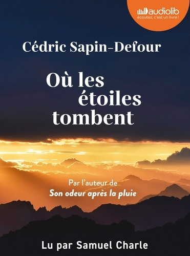 Emprunter Où les étoiles tombent. 1 CD audio MP3 livre