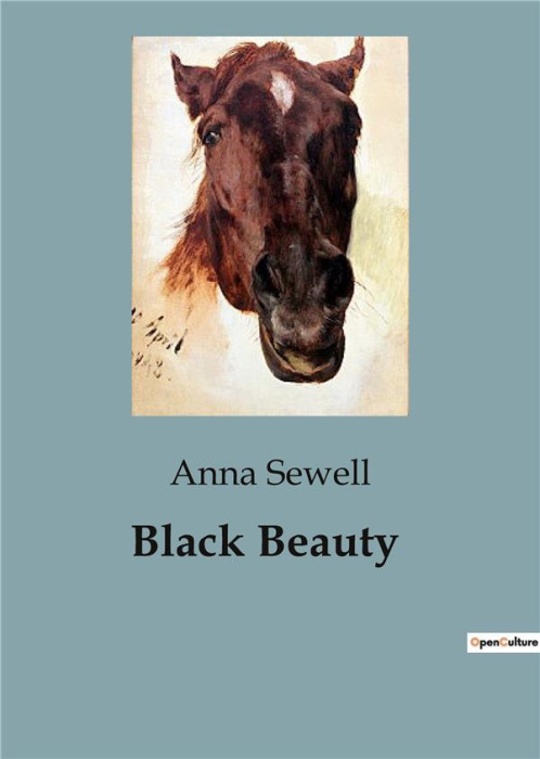Emprunter BLACK BEAUTY livre