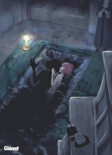 Emprunter Shadows House Tome 18 livre