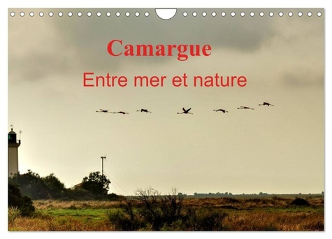 Emprunter Camargue Entre mer et nature (Calendrier mural 2026 DIN A4 vertical), CALVENDO calendrier mensuel. A livre