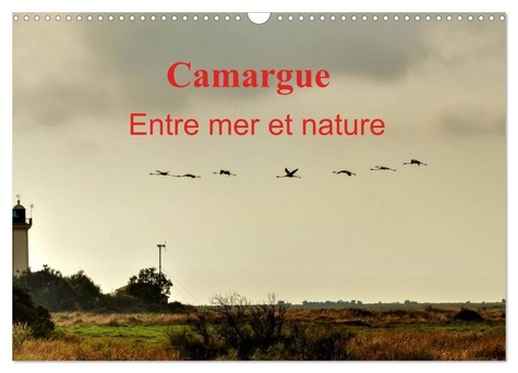 Emprunter Camargue Entre mer et nature (Calendrier mural 2026 DIN A3 vertical), CALVENDO calendrier mensuel. A livre