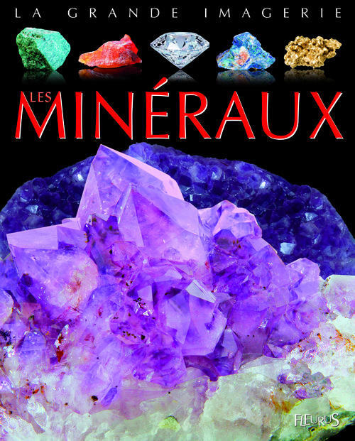 Emprunter Les minéraux livre