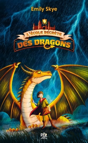 Emprunter L'école secrète des dragons Tome 5 : Le tribunal des sept flammes livre