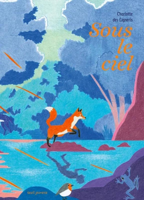 Emprunter Sous le ciel livre