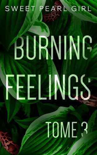 Emprunter Burning feelings Tome 3 livre