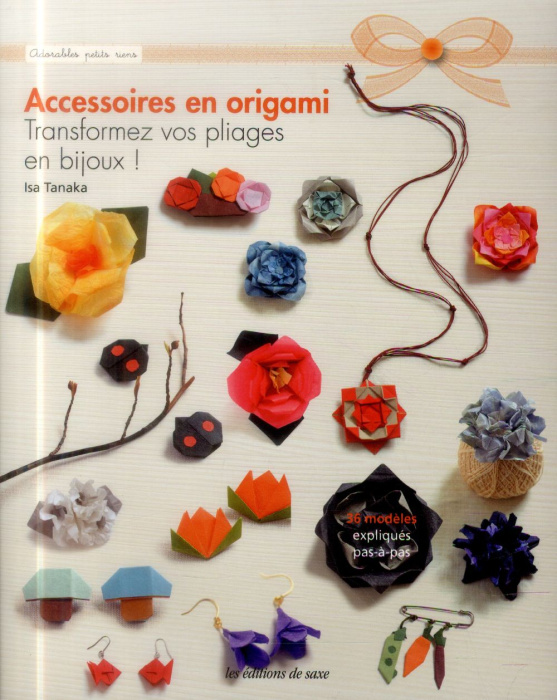 Emprunter Accessoires en origami. Transformez vos pliages en bijoux ! livre