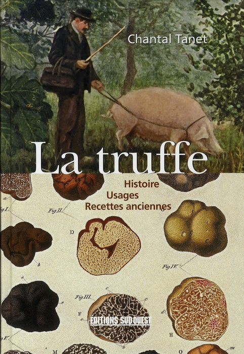 Emprunter La truffe. Histoire, Usages, Recettes anciennes livre