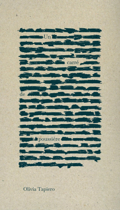 Emprunter Un carré de poussière livre