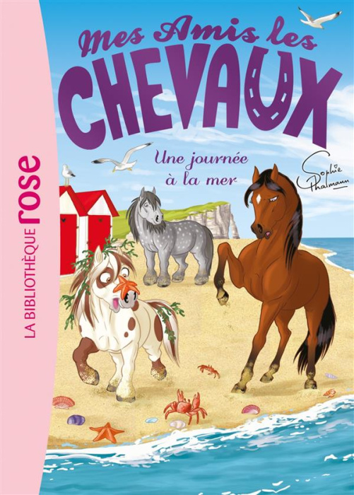 Emprunter Mes amis les chevaux Tome 14 : Une journée à la mer livre