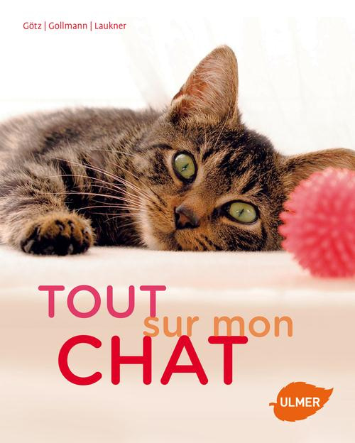 Emprunter Tout sur mon chat livre
