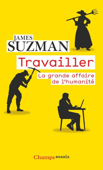 Emprunter Travailler. La grande affaire de l'humanité livre