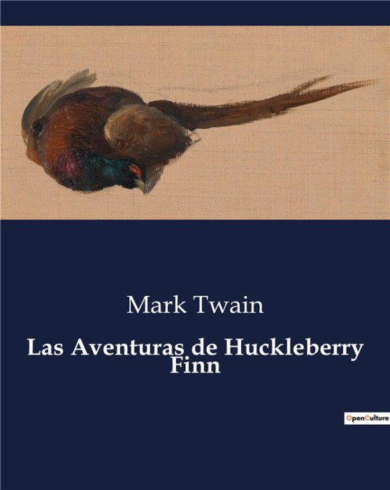 Emprunter LAS AVENTURAS DE HUCKLEBERRY FINN livre