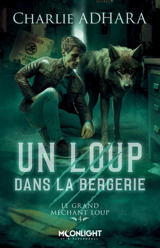 Emprunter Le grand méchant Loup Tome 4 : Un loup dans la bergerie livre