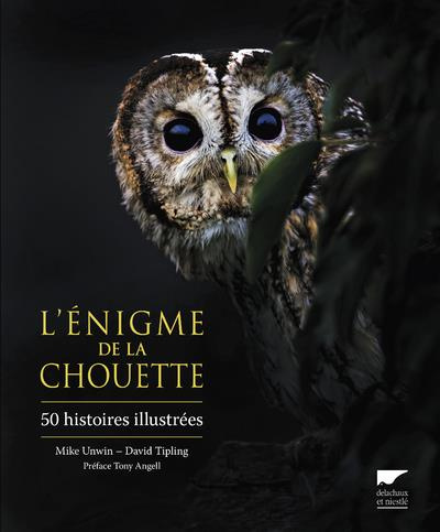Emprunter L'énigme de la chouette. 50 histoires illustrées livre