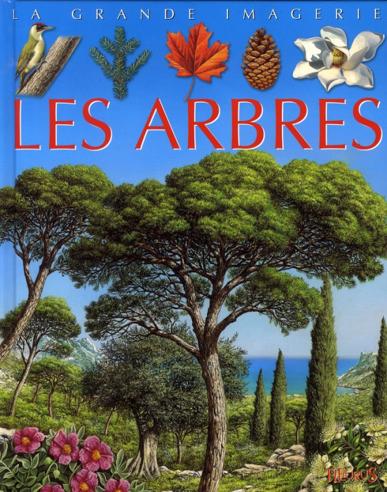 Emprunter Les arbres livre