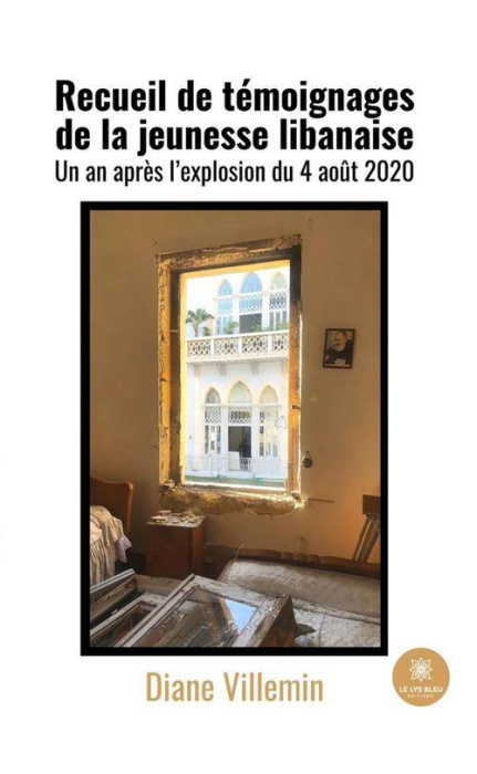 Emprunter Recueil de témoignages de la jeunesse libanaise. Un an après l'explosion du 4 août 2020 livre