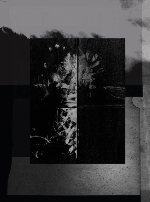 Emprunter ONE MILLIMETER OF BLACK DIRT AND A VEIL OF DEAD COWS livre