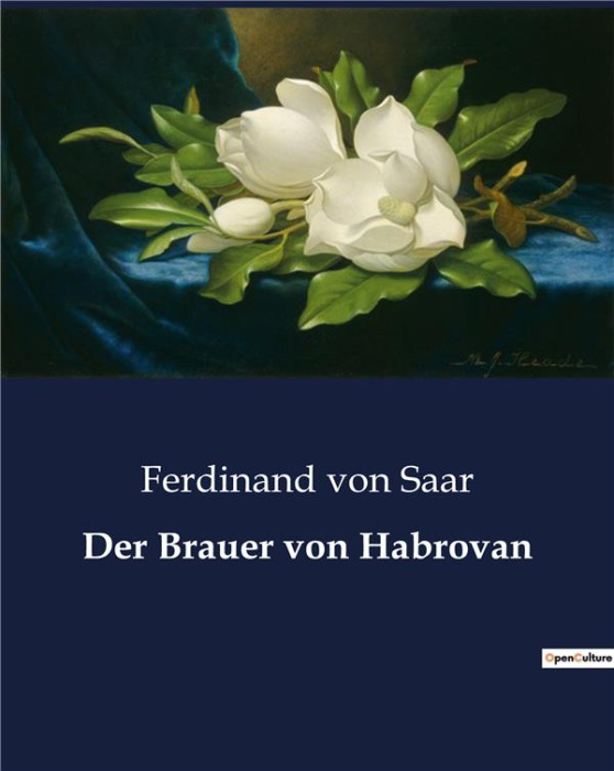 Emprunter DER BRAUER VON HABROVAN - DAS GEHEIMNIS DES BRAUERS: EINE REISE IN DIE TIEFEN DER MENSCHLICHEN SEELE livre