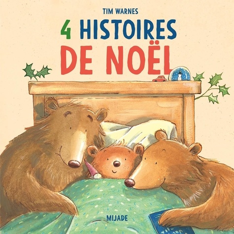 Emprunter Histoires de Noël livre
