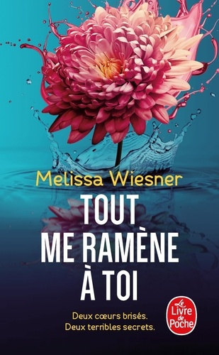 Emprunter Tout me ramène à toi livre