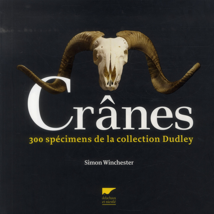 Emprunter Crânes. 300 pièces de la collection Dudley livre