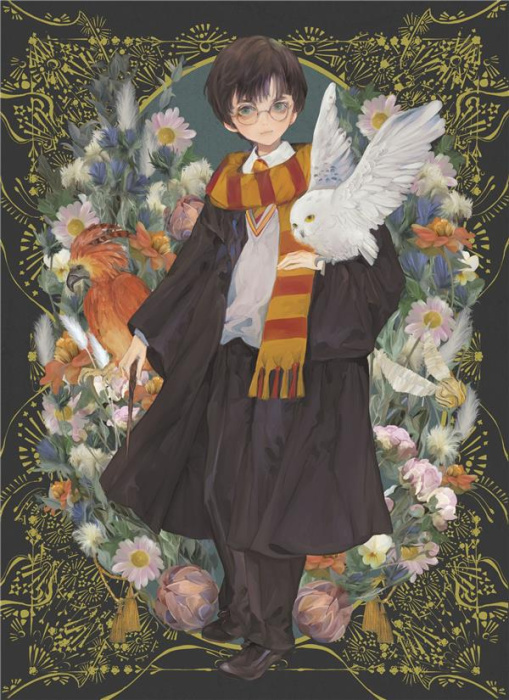 Emprunter L'agenda magique Harry Potter. 12 mois agenda non daté, Edition 2023 livre