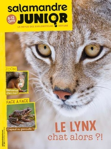 Emprunter Salamandre Junior N° 122 : Le lynx, chat alors ?! livre