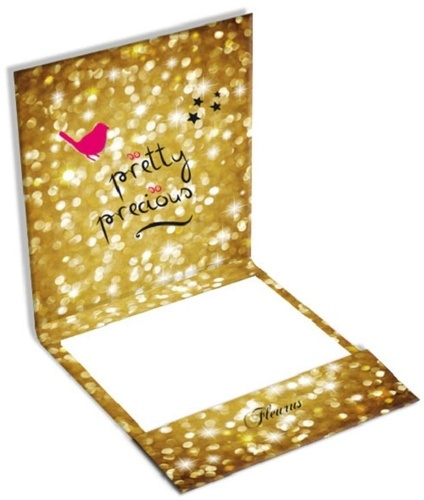 Emprunter So pretty, so precious. Le carnet du dico des filles livre