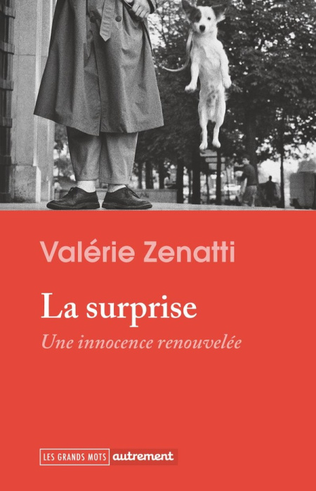 Emprunter La surprise. Une innocence renouvelée livre