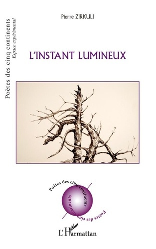 Emprunter L'instant lumineux livre