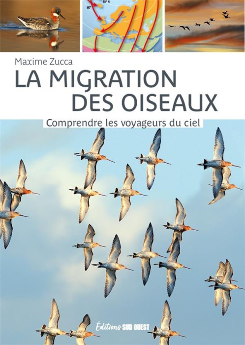 Emprunter La migration des oiseaux. Comprendre les voyageurs du ciel, 4e édition revue et augmentée livre