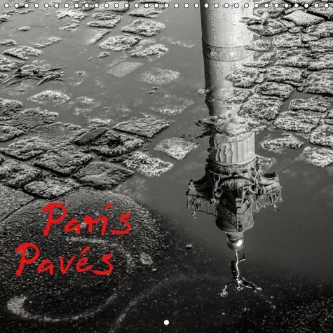 Emprunter PARIS PAVES (CALENDRIER MURAL 2019 300 * 300 MM SQUARE) - PARIS DANS LE DETAIL, LES OMBRES ET LES RE livre