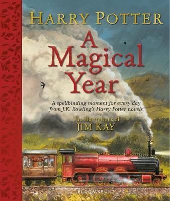 Emprunter HARRY POTTER: A MAGICAL YEAR livre