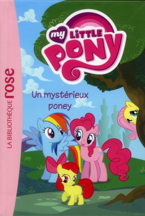 Emprunter Un mystérieux poney livre