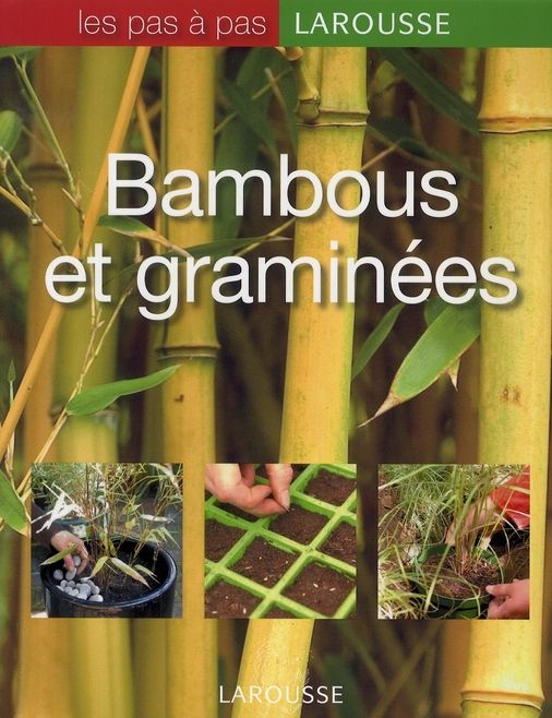 Emprunter Bambous et graminées livre