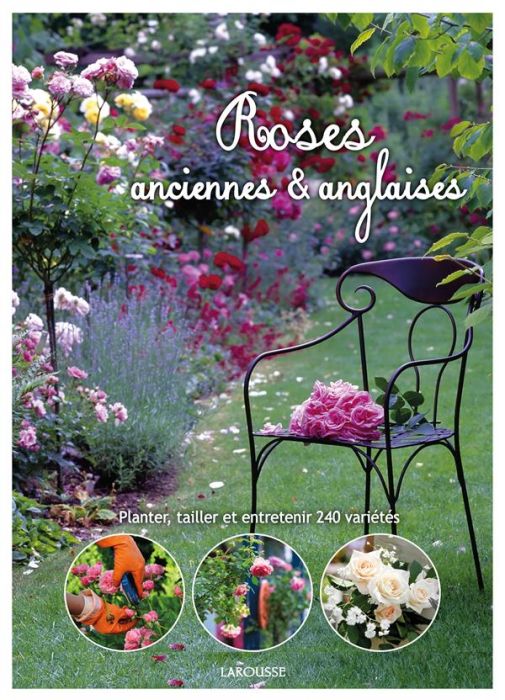 Emprunter Roses anciennes & anglaises. Planter, taillet et entretenir 240 variétés livre