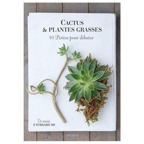 Emprunter Cactus et plantes grasses. 50 compositions en pots livre