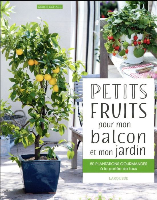 Emprunter Petits fruits pour mon balcon et mon jardin. 50 plantations gourmandes à la portée de tous livre
