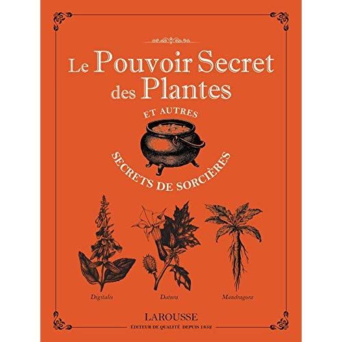 Emprunter Le pouvoir secret des plantes et autres secrets de sorcières livre