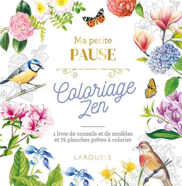 Emprunter Ma petite pause Coloriage Zen. 1 livre de conseils et de modèles et 72 planches prêtes à colorier livre