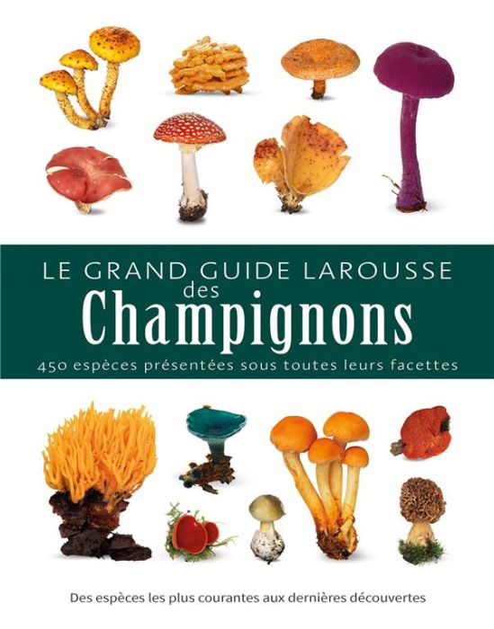 Emprunter Le grand guide Larousse des champignons livre