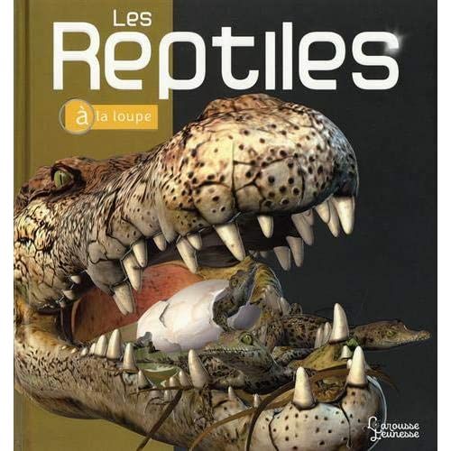 Emprunter Les reptiles livre