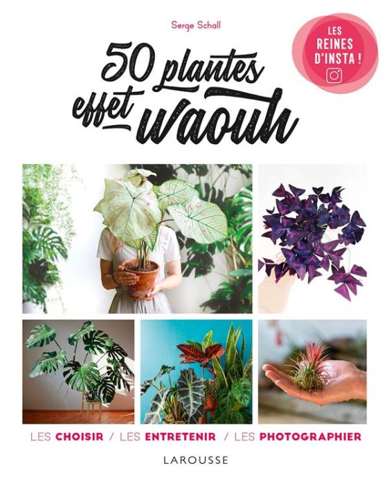 Emprunter 50 plantes effet waouh. Les choisir, les entretenir, les photographier livre