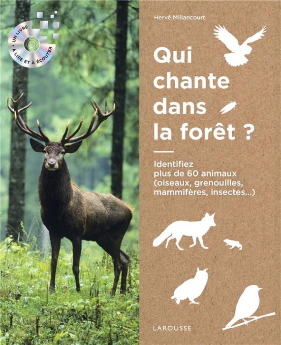 Emprunter Ecoutons la forêt ! Identifier plus de 60 animaux (oiseaux, grenouilles, mammifères, insectes...), a livre