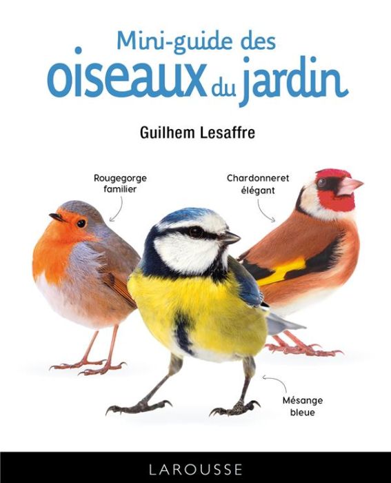 Emprunter Mini-guide des oiseaux du jardin livre