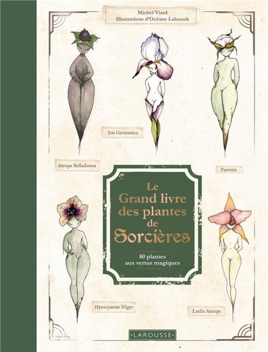 Emprunter Le Grand Livre des plantes de sorcières. 80 plantes aux vertus magiques livre