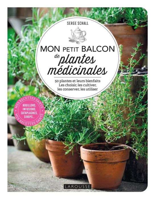 Emprunter Mon petit balcon de plantes médicinales. 50 plantes et leur bienfaits. Les choisir, les cultiver, le livre