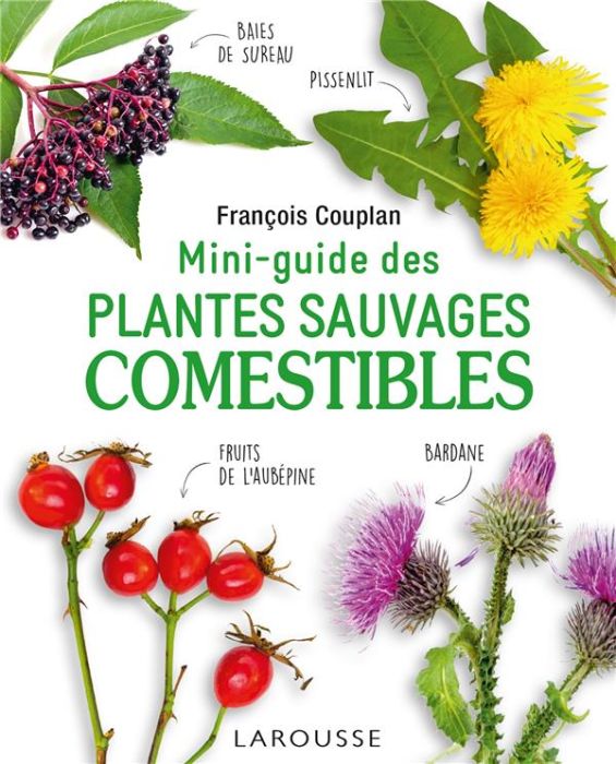 Emprunter Mini-guide des plantes sauvages comestibles livre