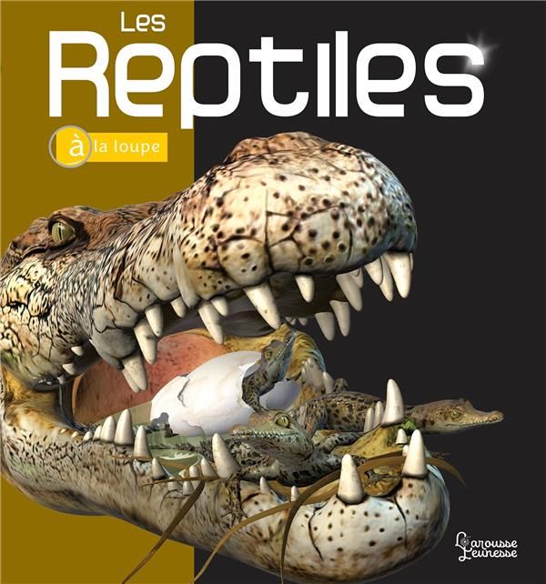 Emprunter Les Reptiles livre